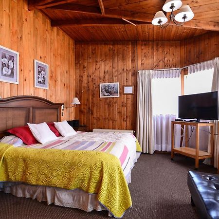 Hotel Los Maitenes Pucón Dış mekan fotoğraf