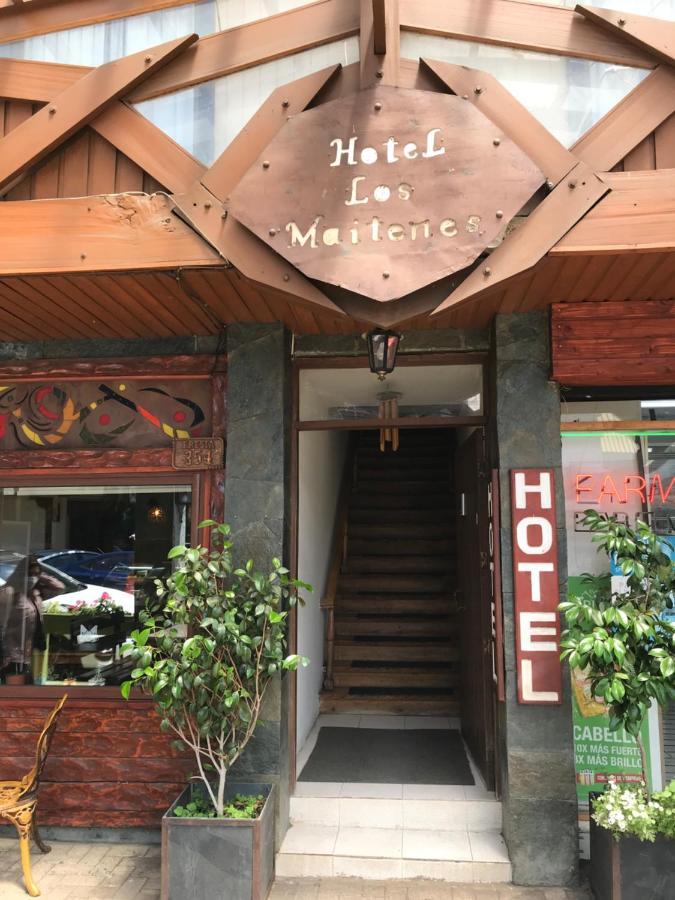Hotel Los Maitenes Pucón Dış mekan fotoğraf